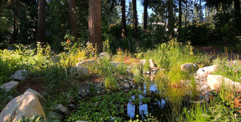 Kruckeberg Botanic Garden, United States